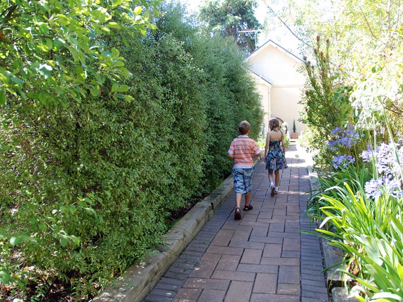 hahndorf house gardens alley