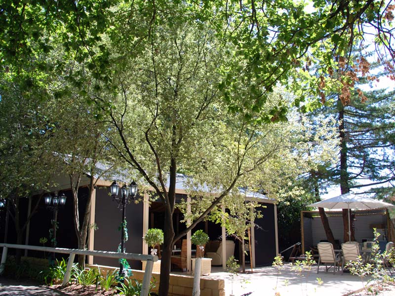 hahndorf garden pavilion